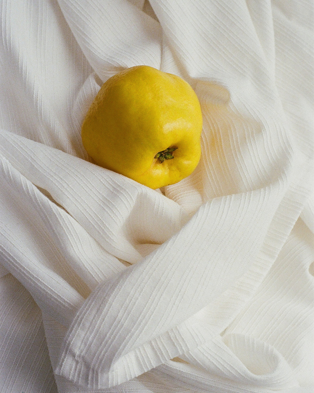 Nami Organic Cotton Towel / White
