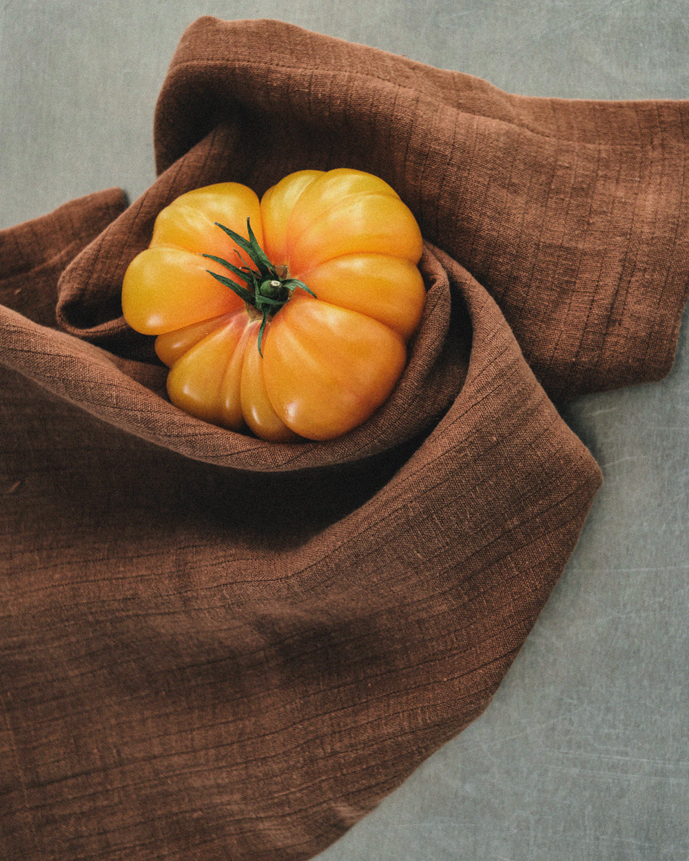 Dale Linen Kitchen Towel (Set of 2) / Rust